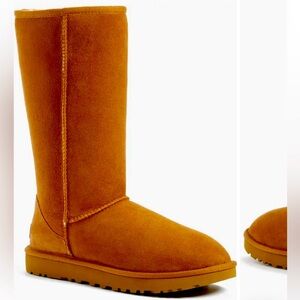 Brand New Authentic Classic Tall Uggs (Chestnut)
